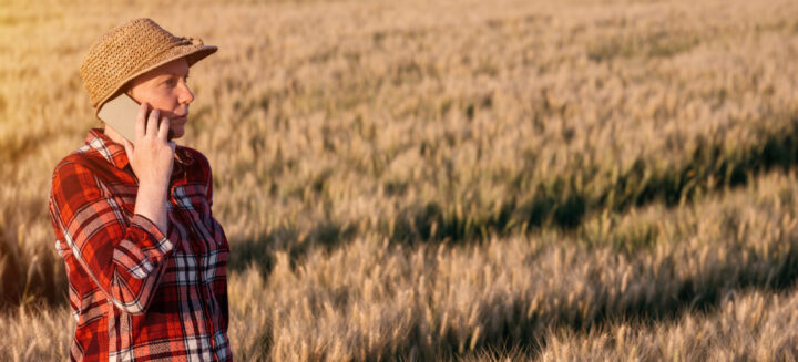 Woman on cell phone in a wheat field